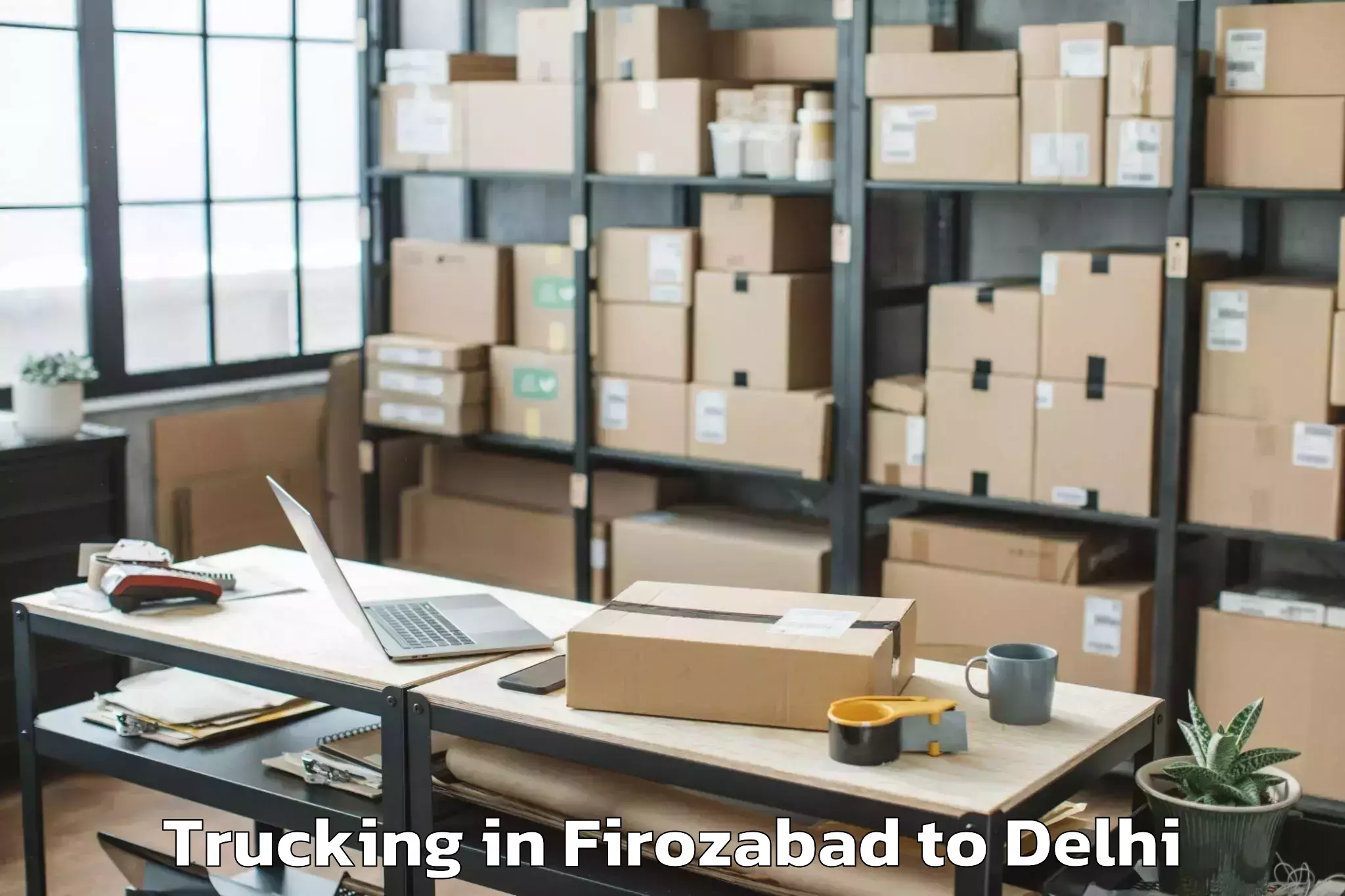 Trusted Firozabad to University Of Delhi New Delhi Trucking